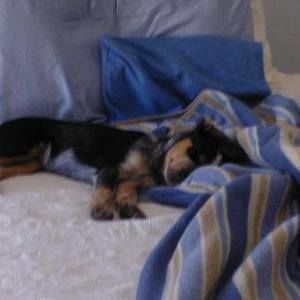 Meet your Posher, Kathy